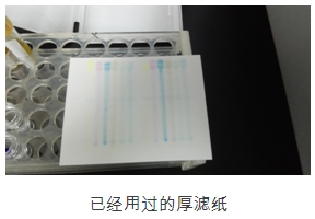 PCR室实习之错错错