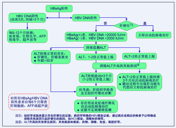 乙肝病毒携带者应如何监测肝病进展？