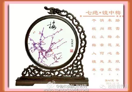张时民：【镜中梅】之月下霉花