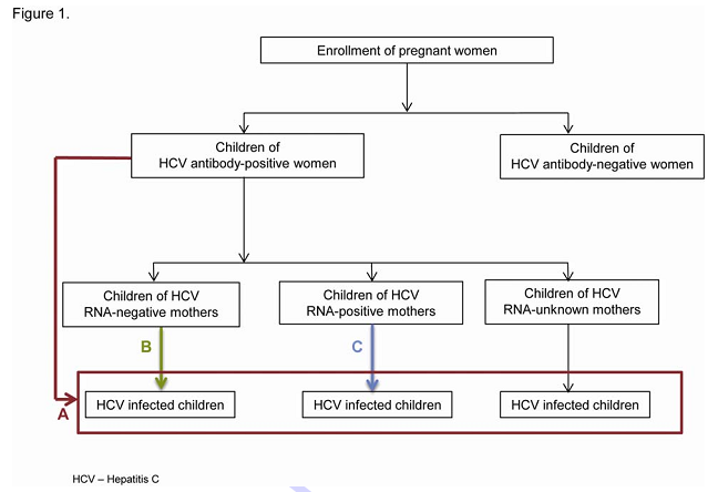 母婴垂直传播是儿童HCV感染的主要途径