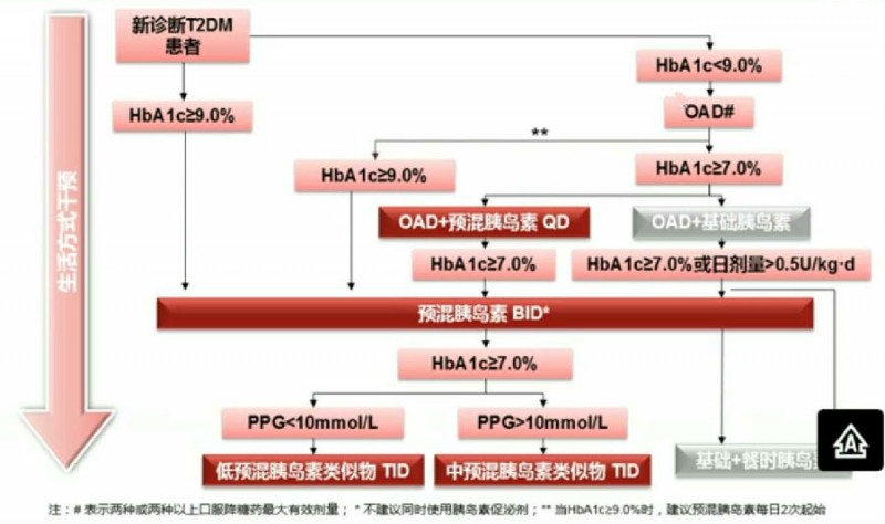 【CDS2017】杨文英教授：餐后血糖对于HbA1c达标的重要性